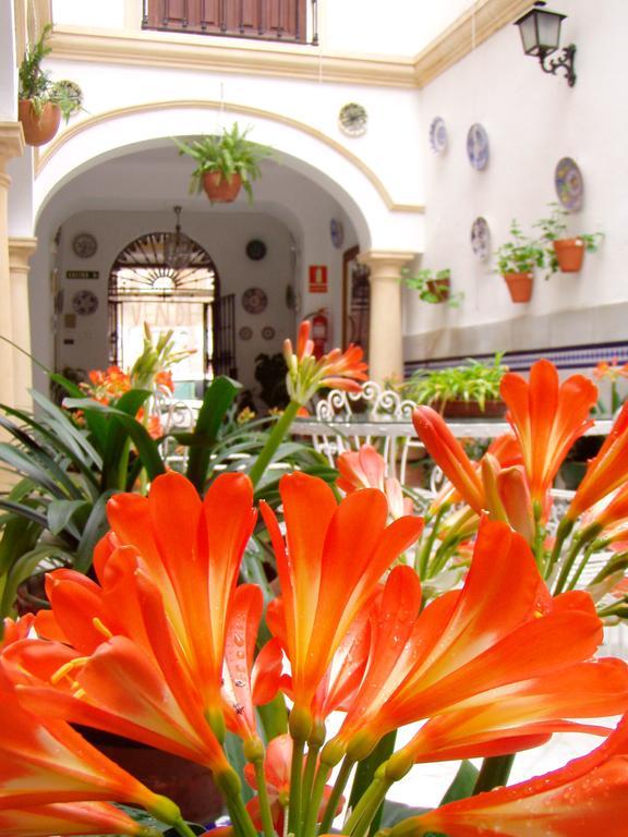 Hostal Maestre Hotel Córdoba Eksteriør billede